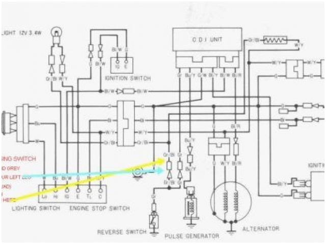 1985 Honda Fourtrax 250 Wiring Diagram Trx250r Wiring Diagram Electrical Wiring Diagram