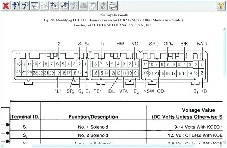 1996 toyota Corolla Wiring Diagram 1995 toyota Corolla Belt Diagram Electrical Wiring Diagram software