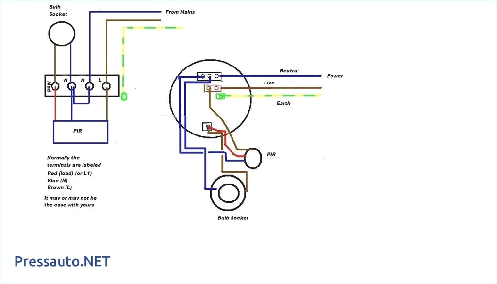 2 Switch Light Wiring Diagram Labelled Diagram Of Rat New 2 Lights 2 Switches Diagram Unique