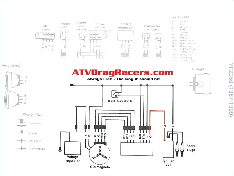 350 Warrior Wiring Diagram Yamaha Sdometer Wiring Diagram