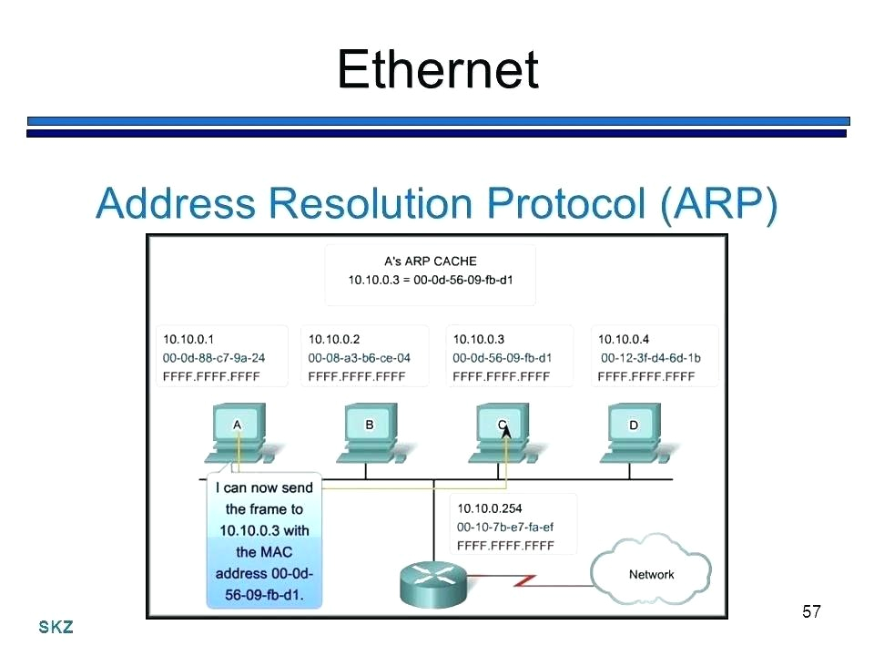 568b Wiring Diagram B Cat 5 Jack Wiring Diagram Mncenterfornursing Com 568b Wiring Diagram B Cat 5 Jack Wiring Diagram Mncenterfornursing Com