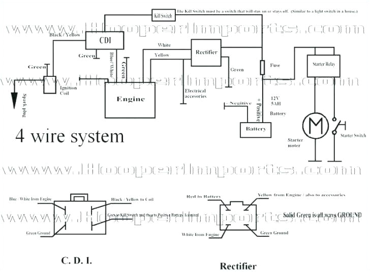 Ams 2000 Wiring Diagram C251039273 Kazuma 50cc atv Wiring Diagram Wiring Diagram Ams 2000 Wiring Diagram C251039273 Kazuma 50cc atv Wiring Diagram Wiring Diagram