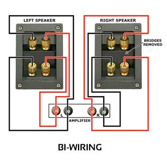 Bi Amp Speaker Wiring Diagram Jak Dziaa A Bi Wire I Bi Amp Baza Wiedzy