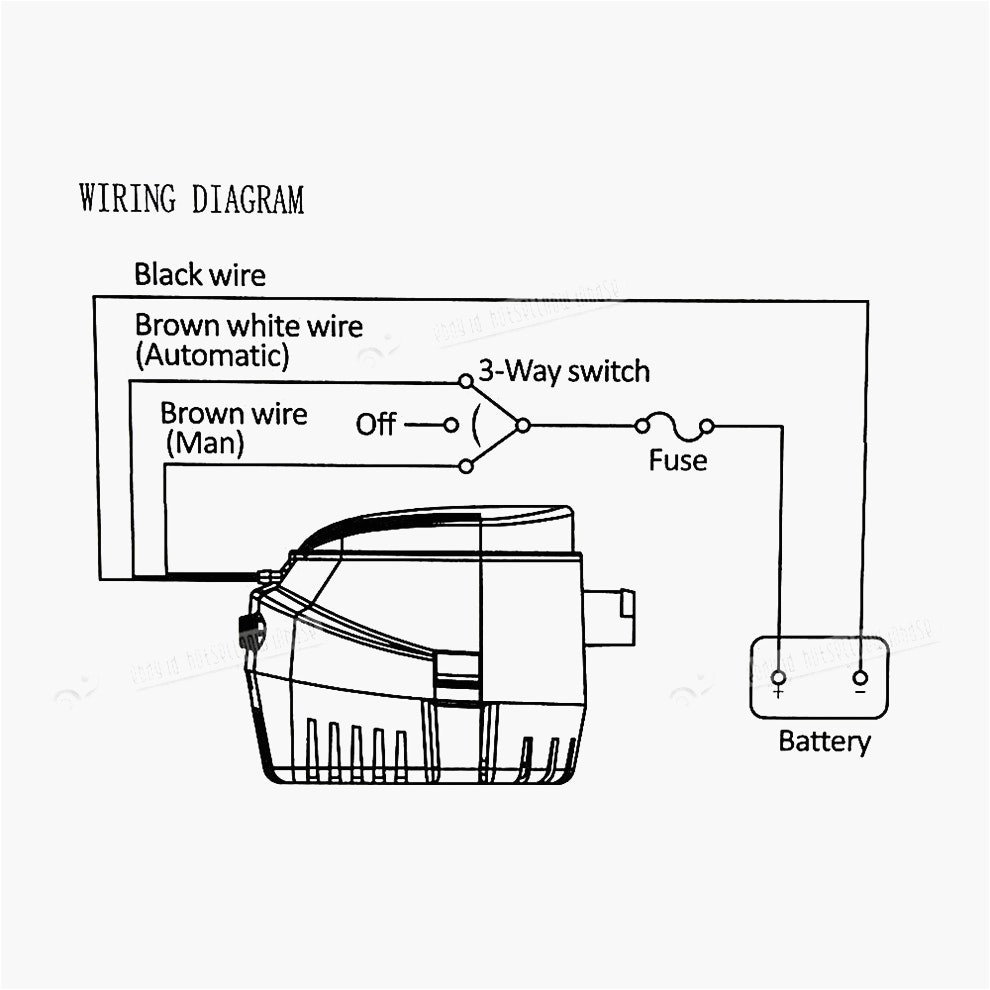 Bilge Pump Float Switch Wiring Diagram Rule Pumps Wiring Diagram Wiring Diagram Bilge Pump Float Switch Wiring Diagram Rule Pumps Wiring Diagram Wiring Diagram