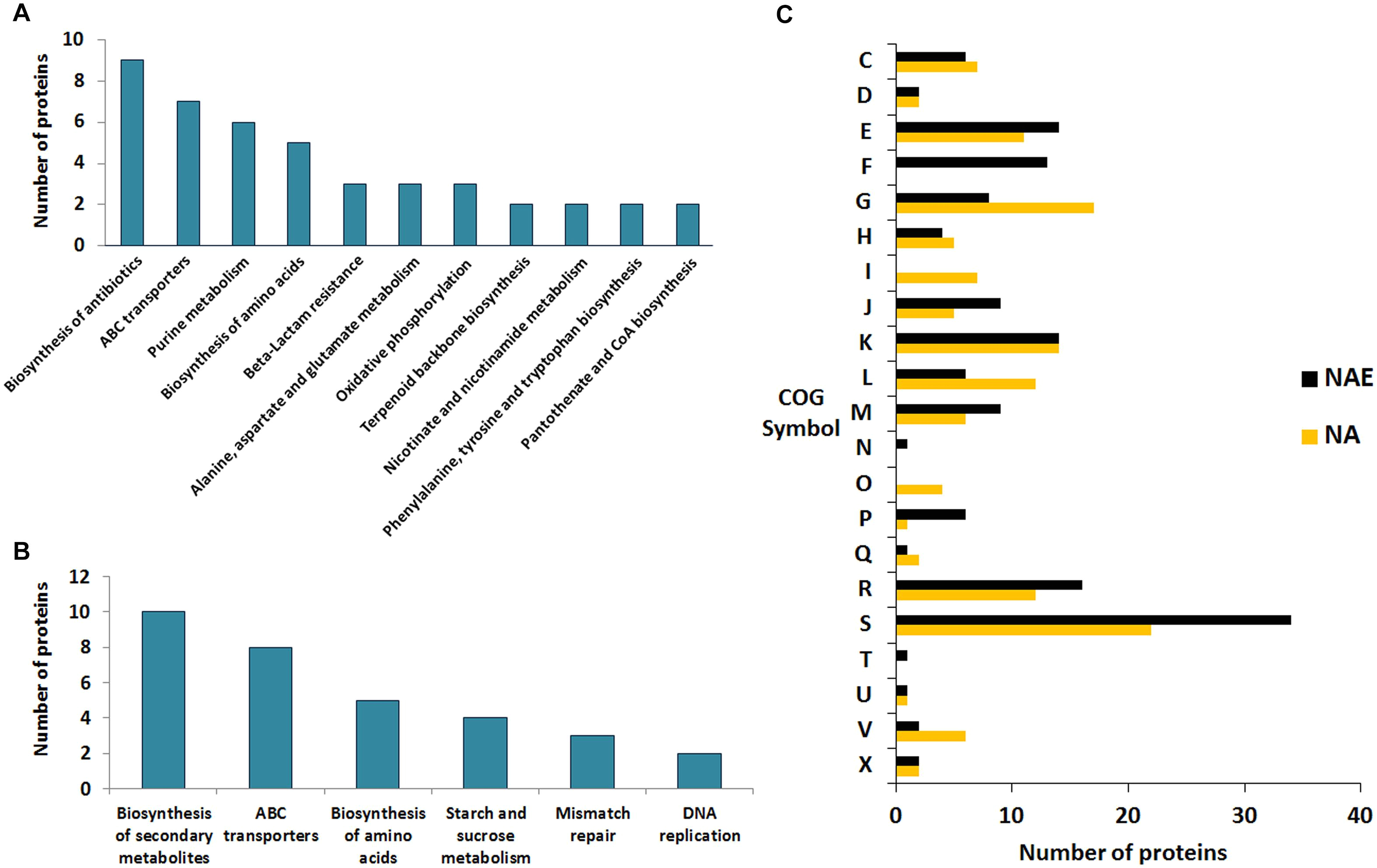 Biondo Electric Shifter Wiring Diagram Frontiers Quantitative Proteomic Analysis Of the Response Of Biondo Electric Shifter Wiring Diagram Frontiers Quantitative Proteomic Analysis Of the Response Of