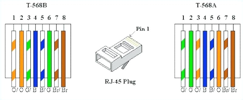 Cat 5b Wiring Diagram B Cat Wiring Diagram Wiring Diagram for You Cat 5b Wiring Diagram B Cat Wiring Diagram Wiring Diagram for You