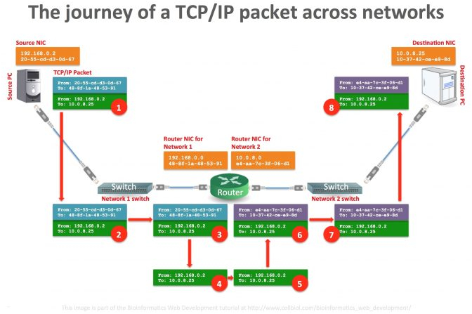 Cat5 Patch Cable Wiring Diagram Cat6 Ethernet Cable Wiring Diagram Best Of Rj45 Wiring Diagram Fresh