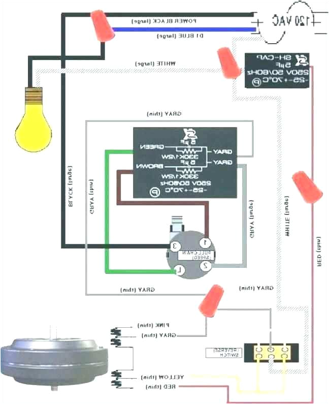 Ceiling Fan Pull Chain Light Switch Wiring Diagram Fan Pull Chain Switch Wiring Diagram Wiring Schematic Diagram 41