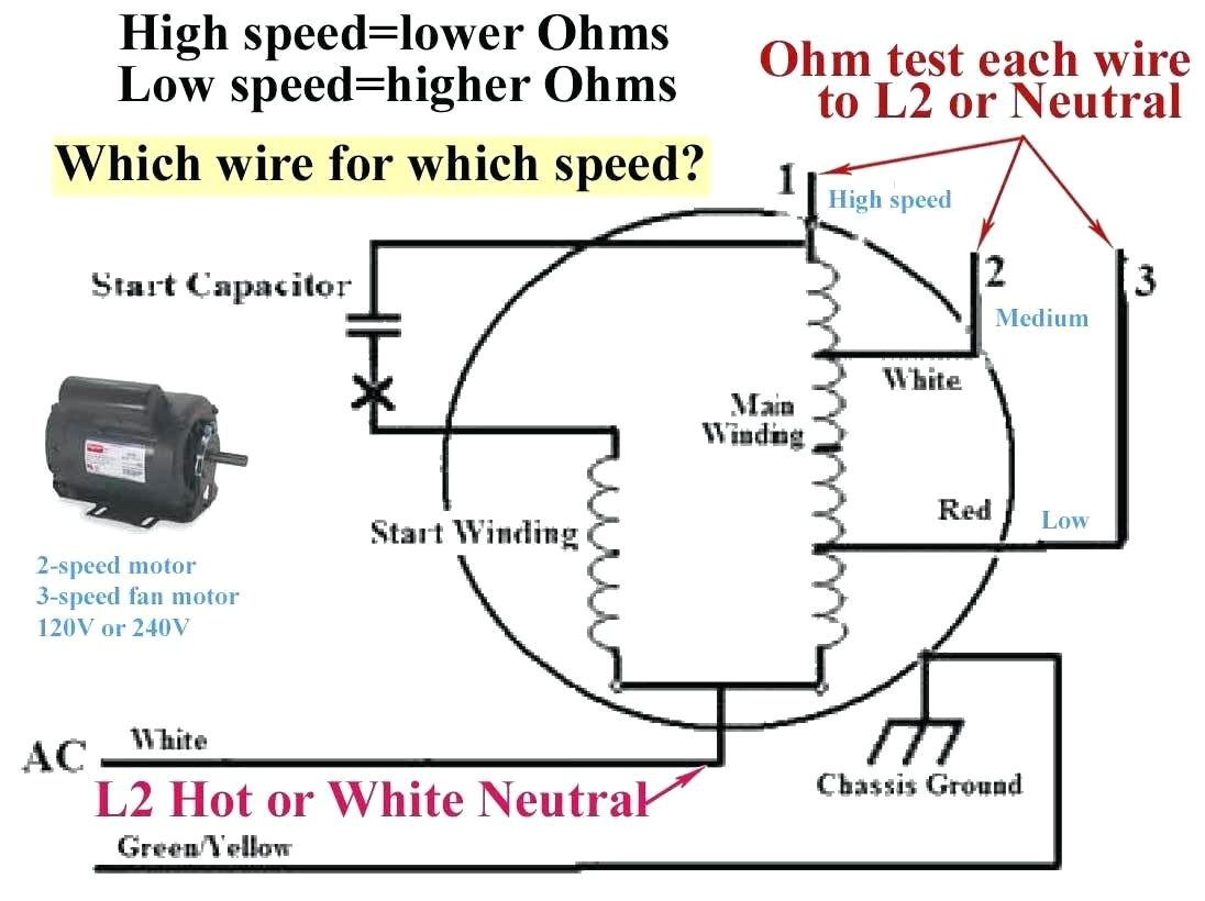 Century Ac Motor Wiring Diagram Ac Motor Sd Picture Wiring Diagram Century Wiring Diagram Img Century Ac Motor Wiring Diagram Ac Motor Sd Picture Wiring Diagram Century Wiring Diagram Img