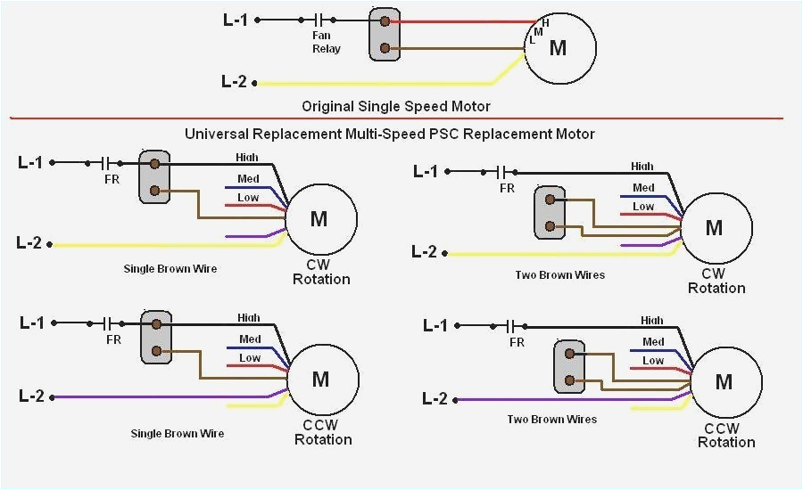 Century Ac Motor Wiring Diagram Ac Motor Wiring Blog Wiring Diagram Century Ac Motor Wiring Diagram Ac Motor Wiring Blog Wiring Diagram