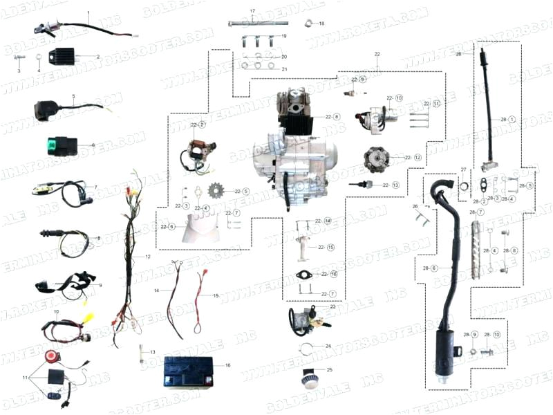 Chopper Wiring Diagram Harley Mini Chopper 49cc Scooter Wiring Diagram Wiring Diagram Blog Chopper Wiring Diagram Harley Mini Chopper 49cc Scooter Wiring Diagram Wiring Diagram Blog