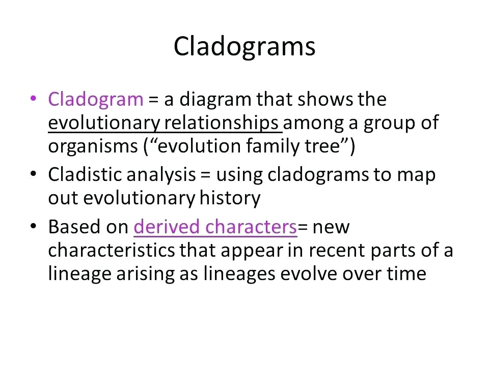 Clarion Max385vd Wiring Diagram Diagram Led Whelen Strobewiring Wiring Diagram