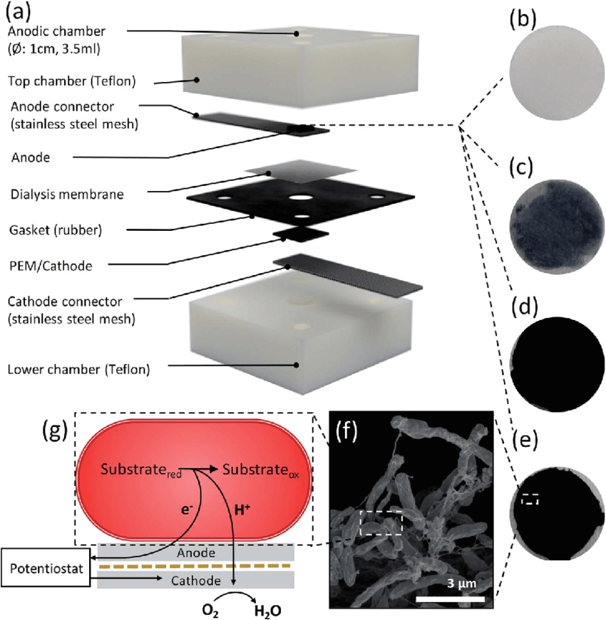 Cmc Pt 35 Wiring Diagram A Diagram Of the Mfc Chamber Components Photographs Of the Aerogel Cmc Pt 35 Wiring Diagram A Diagram Of the Mfc Chamber Components Photographs Of the Aerogel