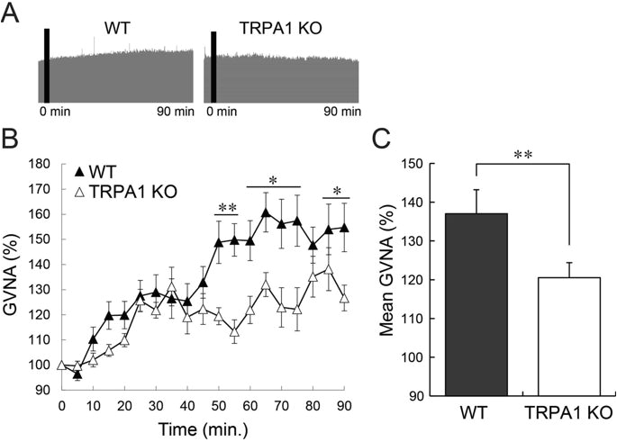 Cmc Pt 35 Wiring Diagram I Eudesmol An Oxygenized Sesquiterpene Stimulates Appetite Via Cmc Pt 35 Wiring Diagram I Eudesmol An Oxygenized Sesquiterpene Stimulates Appetite Via