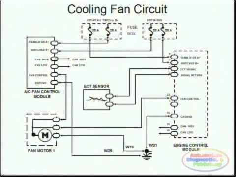 Cooling Fan Relay Wiring Diagram Kenworth W900 Engine Diagram Fan Wiring Diagram Expert Cooling Fan Relay Wiring Diagram Kenworth W900 Engine Diagram Fan Wiring Diagram Expert