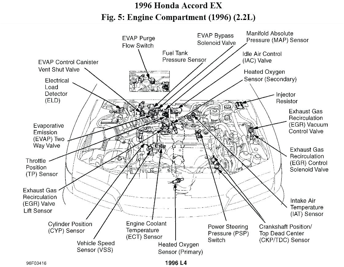 Crf50 Wiring Diagram 94 Honda Wiring Diagram Wiring Diagram Crf50 Wiring Diagram 94 Honda Wiring Diagram Wiring Diagram