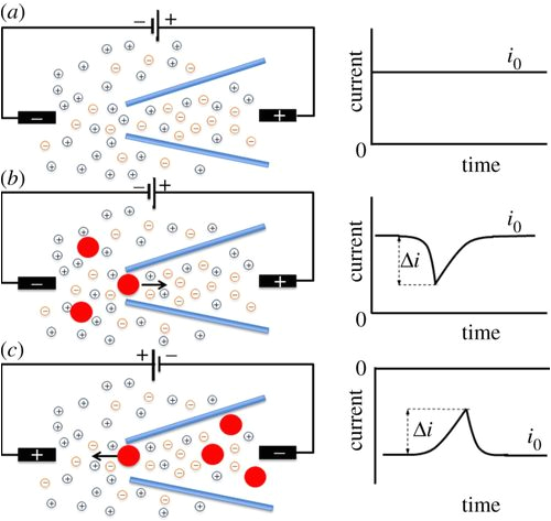 Damega Light Bar Wiring Diagram Resistive Pulse and Rectification Sensing with Glass and Carbon Damega Light Bar Wiring Diagram Resistive Pulse and Rectification Sensing with Glass and Carbon