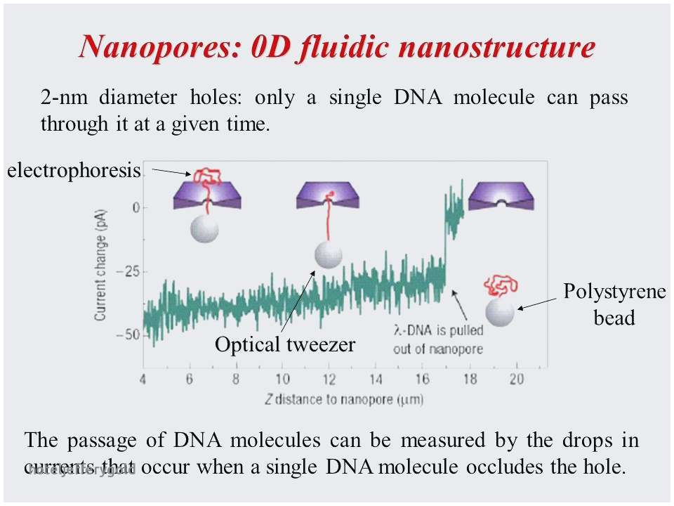 Distributor Wiring Diagram 91 Honda Accord Distributor Wiring Diagram Best Dizzy Civic for