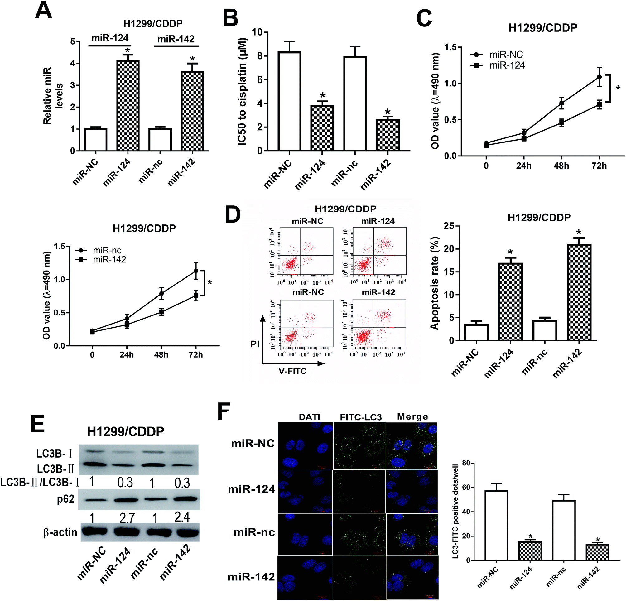 Dp 241 8 24 Wiring Diagram Mir 124 and Mir 142 Enhance Cisplatin Sensitivity Of Non Small Cell