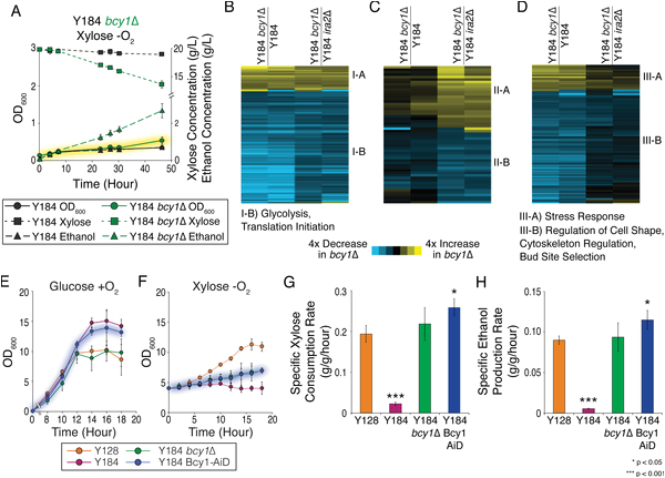 Dp 241 8 24 Wiring Diagram Rewired Cellular Signaling Coordinates Sugar and Hypoxic Responses Dp 241 8 24 Wiring Diagram Rewired Cellular Signaling Coordinates Sugar and Hypoxic Responses