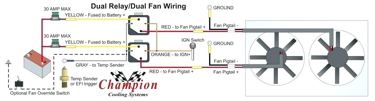 Dual Fan Relay Wiring Diagram Omron Relay Wiring Diagram Bcberhampur org Dual Fan Relay Wiring Diagram Omron Relay Wiring Diagram Bcberhampur org