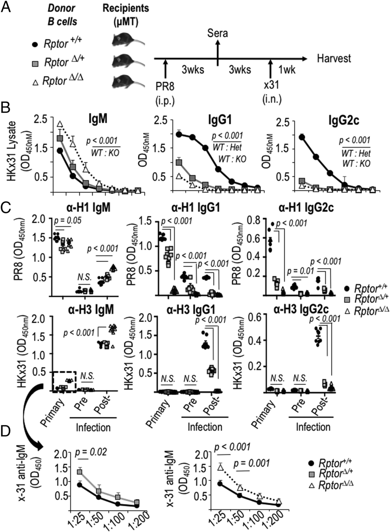Edwards 592 Wiring Diagram B Cell Intrinsic Mtorc1 Promotes Germinal Center Defining Edwards 592 Wiring Diagram B Cell Intrinsic Mtorc1 Promotes Germinal Center Defining
