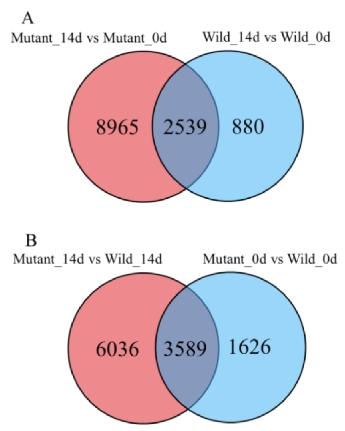 Electric Wire Diagram Physiology Diagram New Ijms Free Full Text Electrical Wiring Electric Wire Diagram Physiology Diagram New Ijms Free Full Text Electrical Wiring