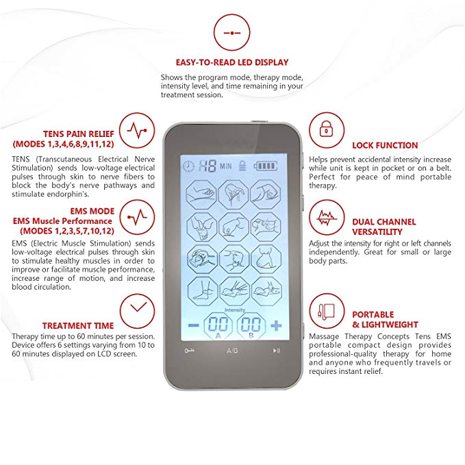 Ems Dual Sport Wiring Diagram Amazon De Haustier