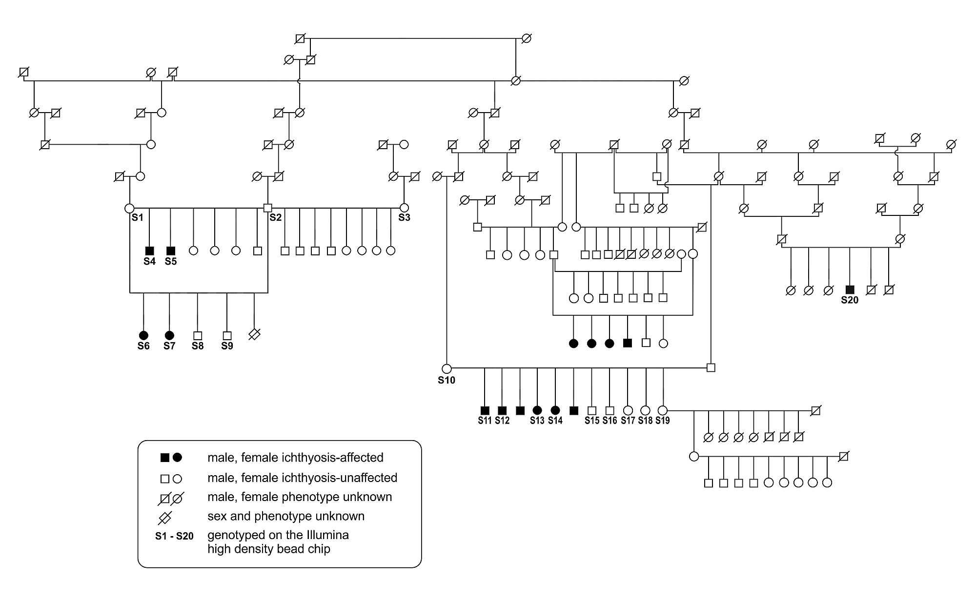 Epicenter E12 908d Wiring Diagram Mutant Wiring Diagram Mri Wiring Diagram Mercury Wiring Diagram Epicenter E12 908d Wiring Diagram Mutant Wiring Diagram Mri Wiring Diagram Mercury Wiring Diagram