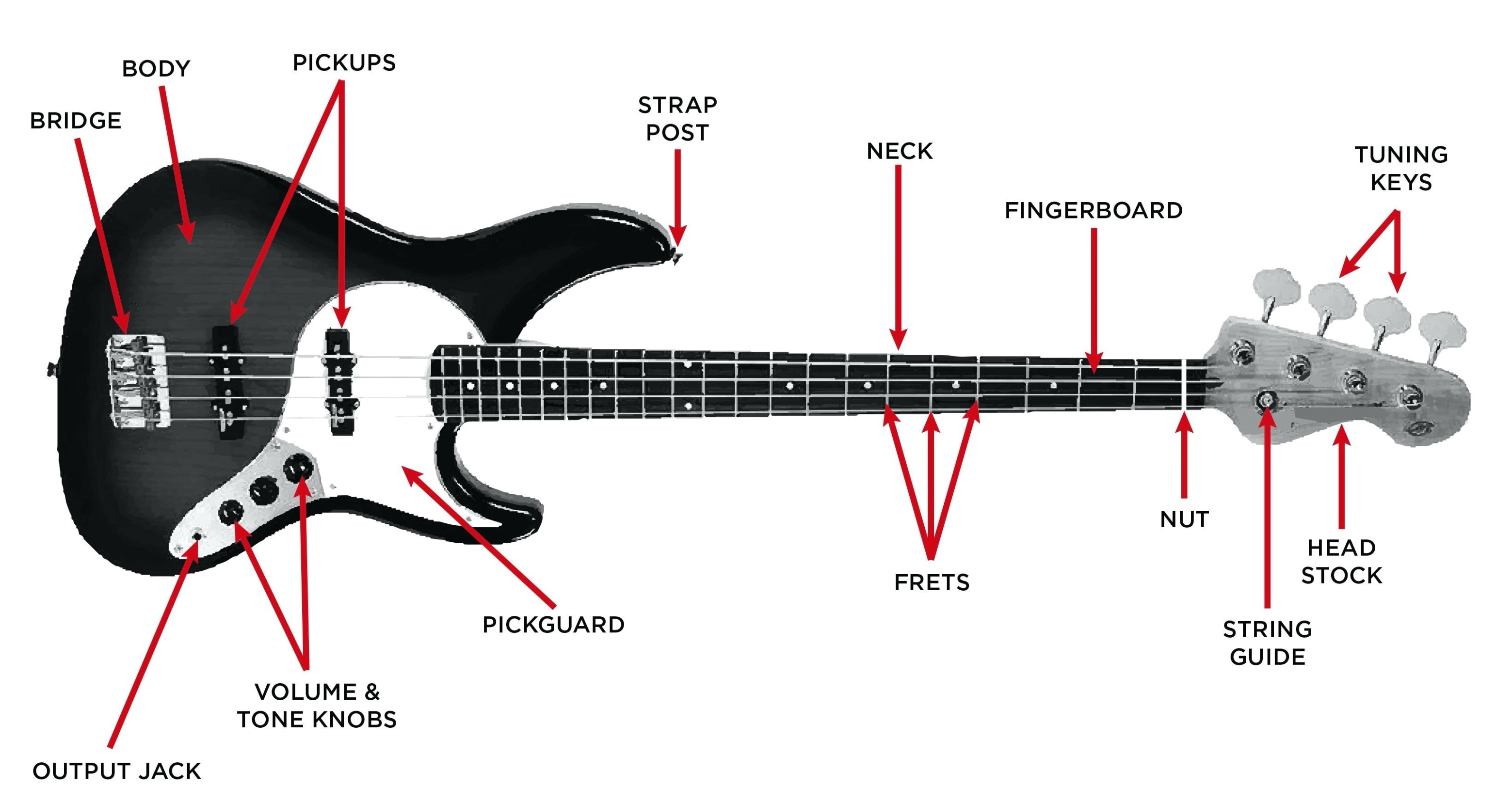 Fender Squier Jazz Bass Wiring Diagram Fender Squier Jazz Bass Wiring Diagram Best Of Stratocaster Guitar