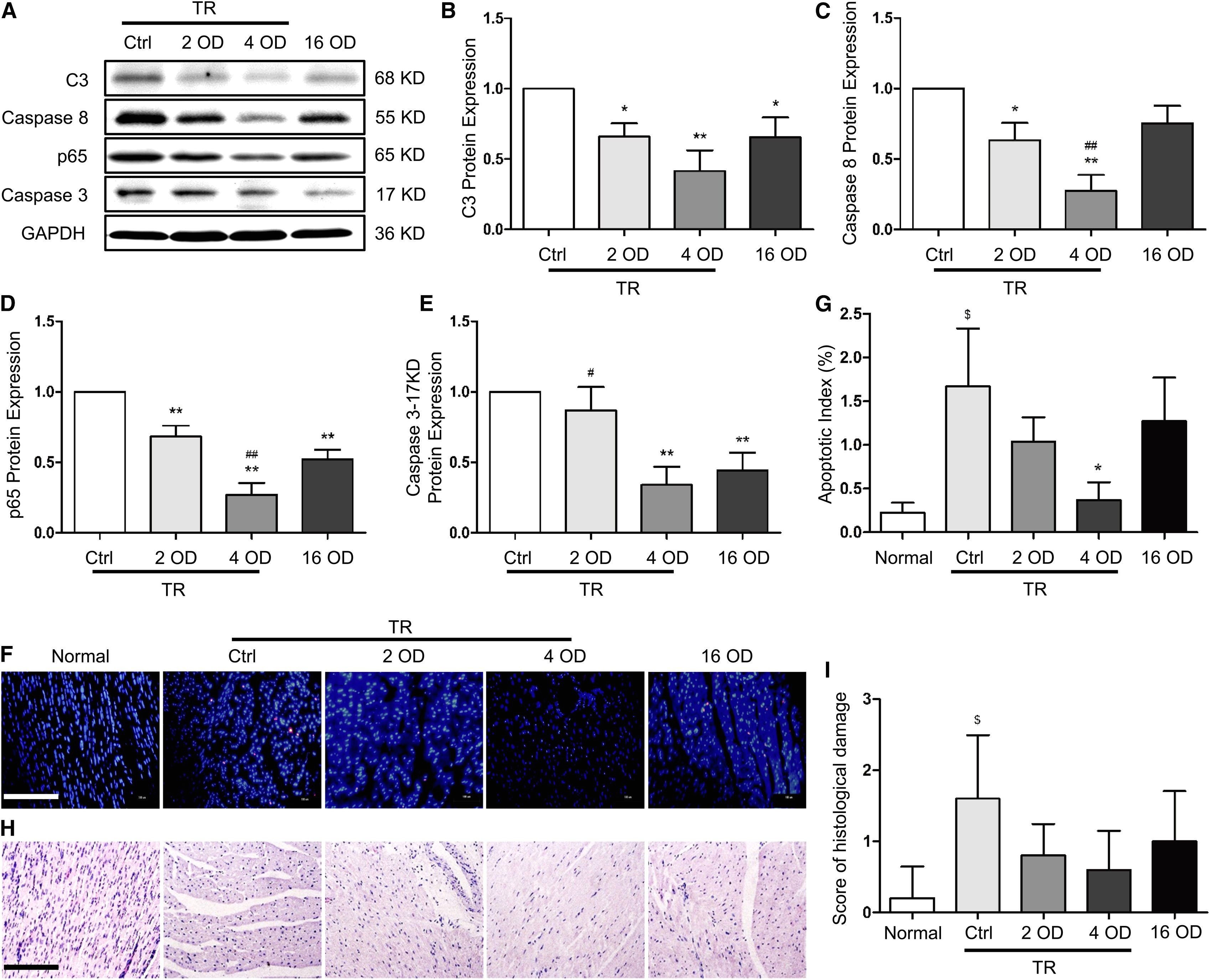 Generac Smart Switch Wiring Diagram Nexus 4 Circuit Diagram Wiring Diagram Technic Generac Smart Switch Wiring Diagram Nexus 4 Circuit Diagram Wiring Diagram Technic