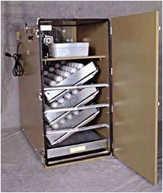 Gqf 1202 Wiring Diagram 29 Best Egg Incubator Images In 2013 Egg Incubator Chicken Eggs Gqf 1202 Wiring Diagram 29 Best Egg Incubator Images In 2013 Egg Incubator Chicken Eggs