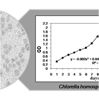 Grey Fergie Wiring Diagram Diagram Of Chlorella Wiring Diagram Sch Grey Fergie Wiring Diagram Diagram Of Chlorella Wiring Diagram Sch