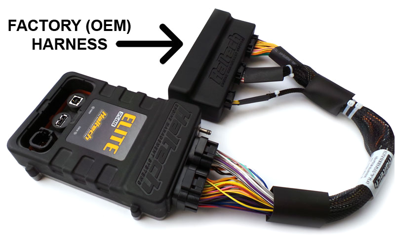 Haltech Platinum Sport 2000 Wiring Diagram Haltech Engine Management Systems A Blog Archive Product Overview Haltech Platinum Sport 2000 Wiring Diagram Haltech Engine Management Systems A Blog Archive Product Overview