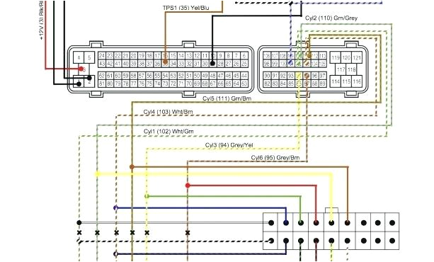 Harley Davidson Radio Wiring Harness Diagram Wiring Harness Diagram On Harley Davidson Wiring Harness for Radio Harley Davidson Radio Wiring Harness Diagram Wiring Harness Diagram On Harley Davidson Wiring Harness for Radio