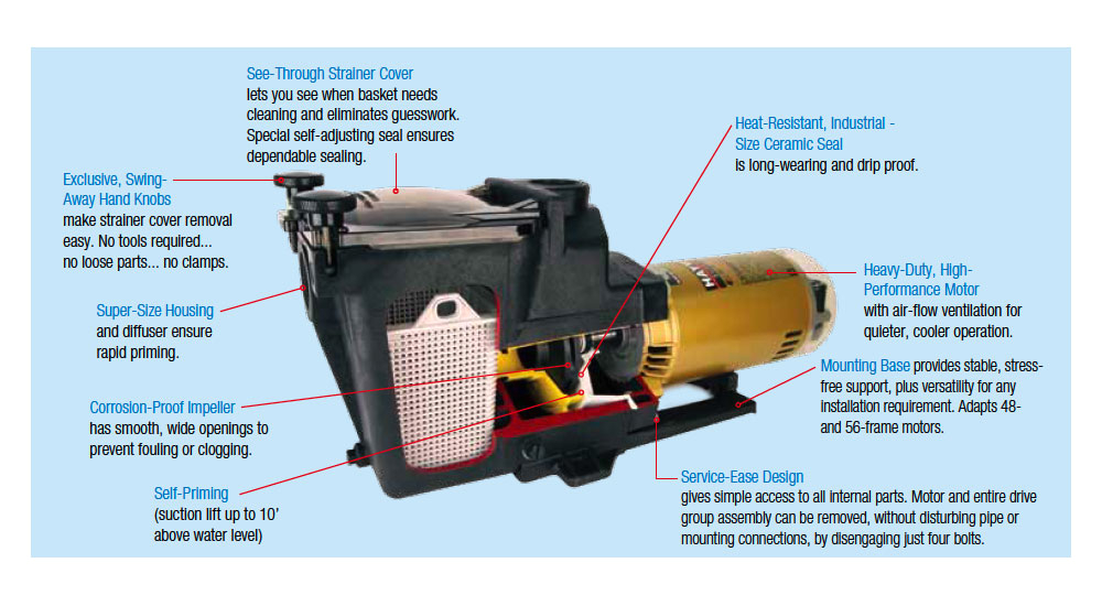 Hayward Pool Pump Motor Wiring Diagram Amazon Com Hayward Sp2610x15 Super Pump 1 5 Hp Pool Pump
