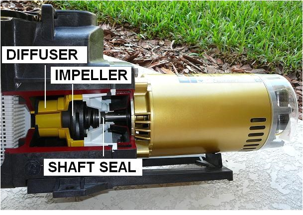 Hayward Pool Pump Motor Wiring Diagram How to Replace A Pool Motor Shaft Seal Inyopools Com