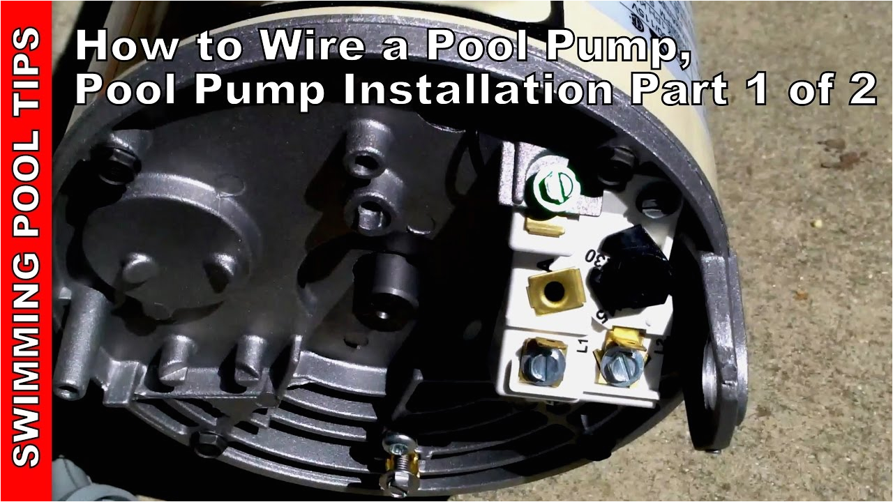 Hayward Super Pump Wiring Diagram 115v Wiring Pentair Pool Pump Wiring Diagram for You Hayward Super Pump Wiring Diagram 115v Wiring Pentair Pool Pump Wiring Diagram for You
