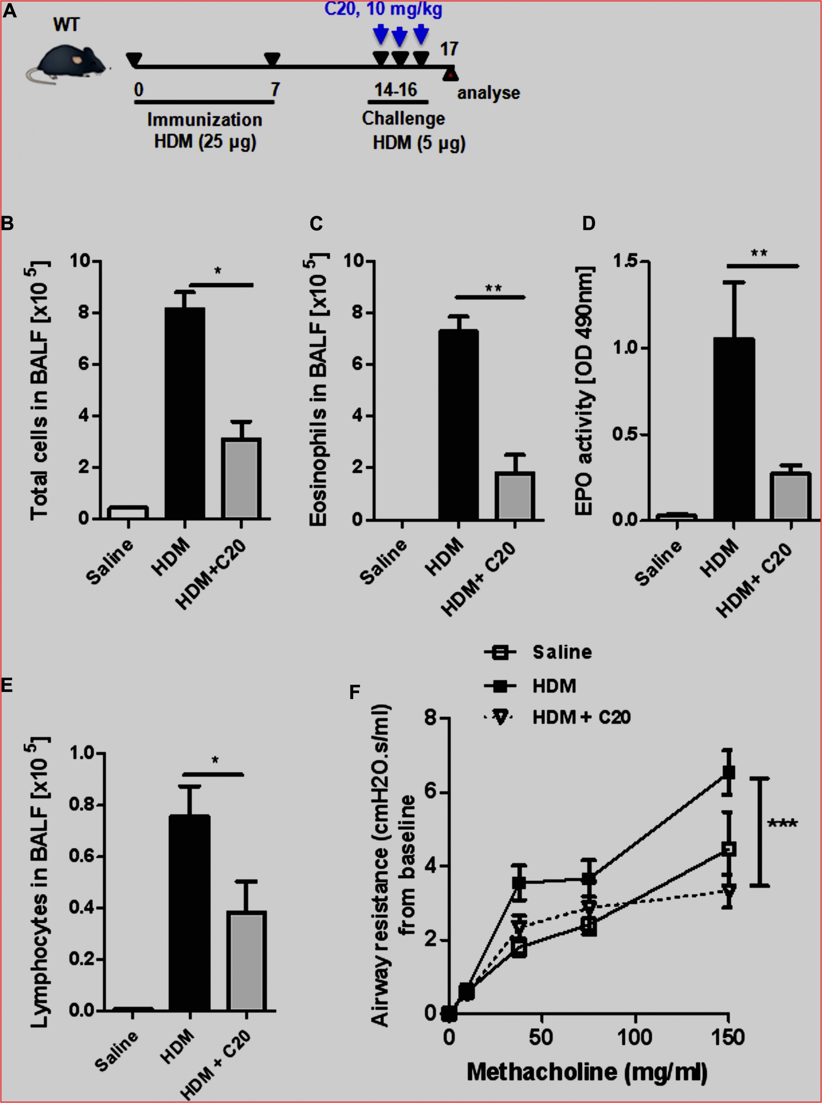 House Electrical Wiring Diagram Wiring Household Schematics Wiring Diagram Database House Electrical Wiring Diagram Wiring Household Schematics Wiring Diagram Database