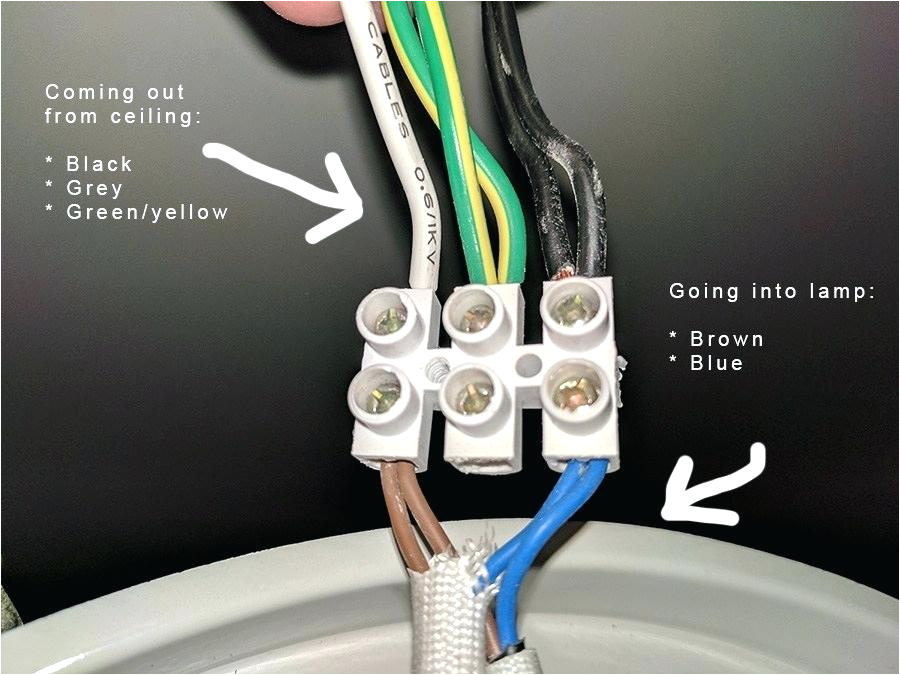 Hpm Batten Holder Wiring Diagram 1997 Mazda Protege Radio Wiring Diagram Fuse Box 98 Subaru Legacy Hpm Batten Holder Wiring Diagram 1997 Mazda Protege Radio Wiring Diagram Fuse Box 98 Subaru Legacy