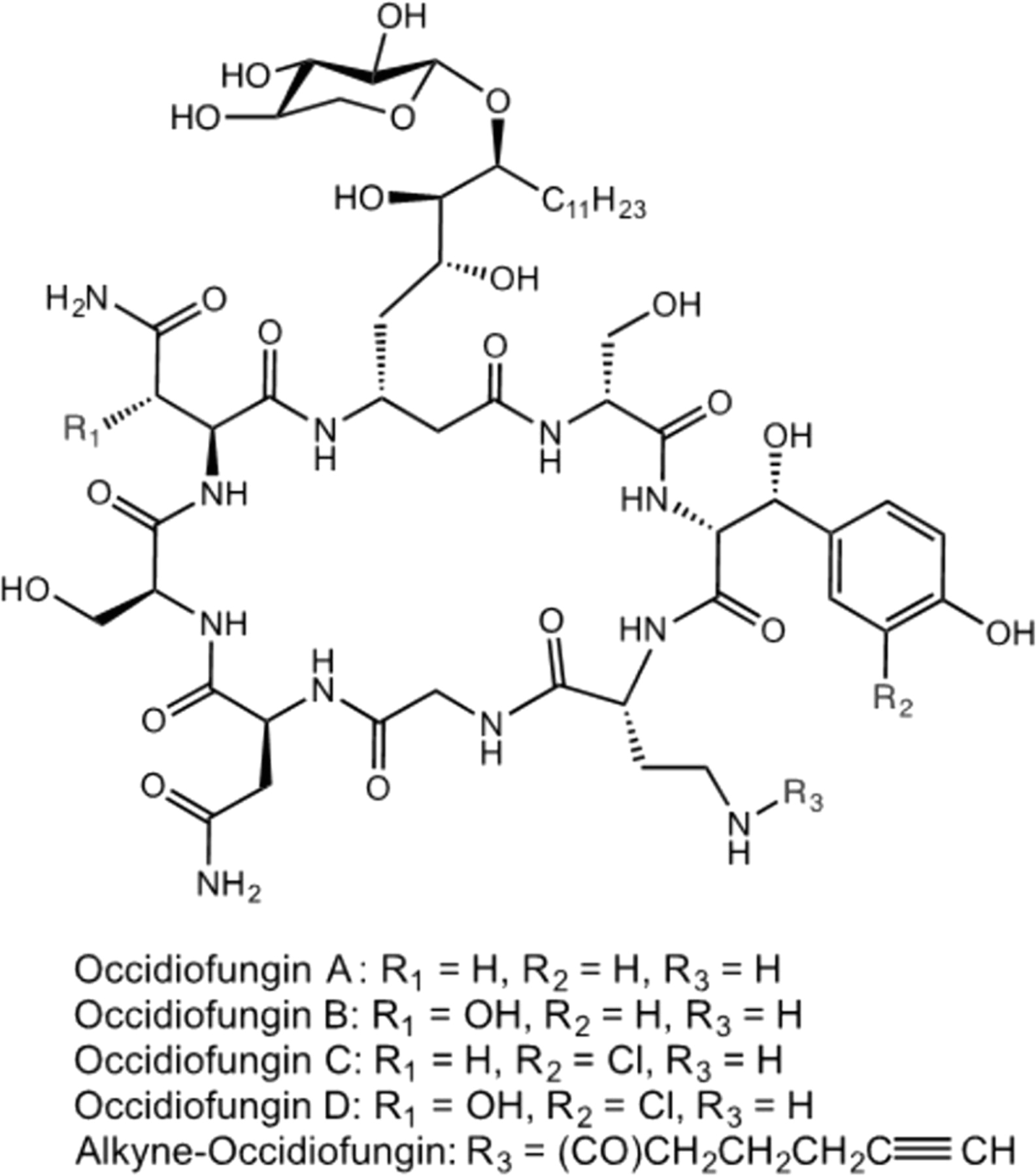 Hsd Spindle Wiring Diagram A Novel Actin Binding Drug with In Vivo Efficacy Antimicrobial Hsd Spindle Wiring Diagram A Novel Actin Binding Drug with In Vivo Efficacy Antimicrobial