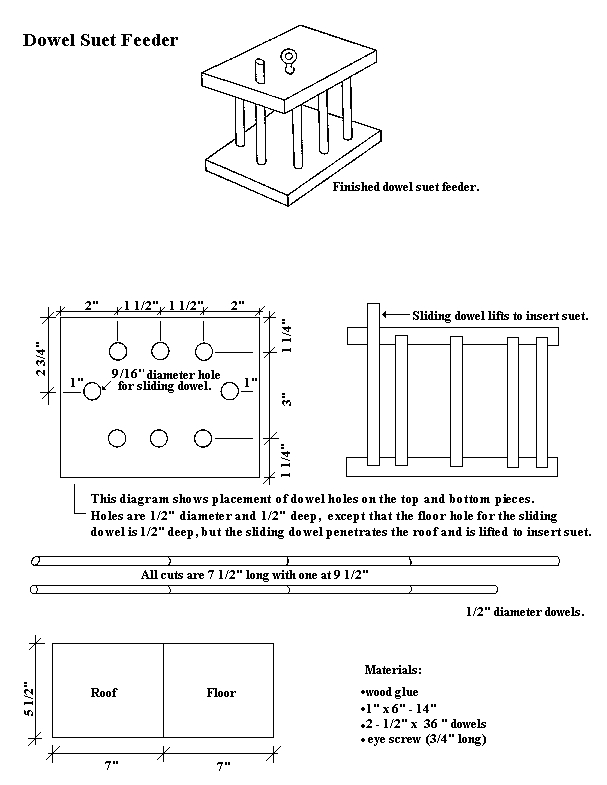 Hummingbird Wiring Diagram Hummingbird House Plans Critters