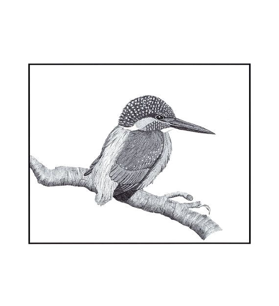 Hummingbird Wiring Diagram Wiringschematic197220ftsafari1972airstreamwiringdiagram23 Wiring Hummingbird Wiring Diagram Wiringschematic197220ftsafari1972airstreamwiringdiagram23 Wiring