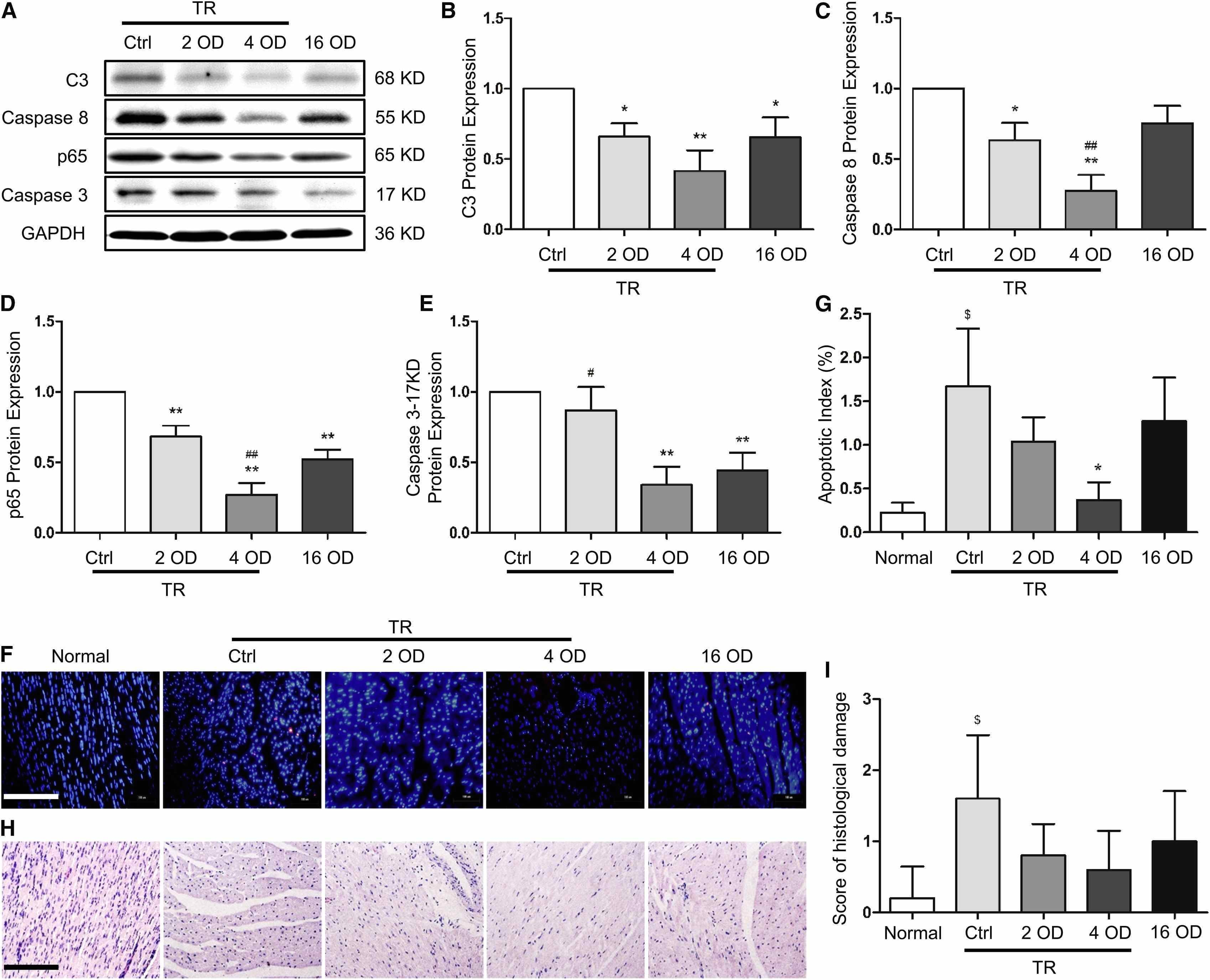 Keystone Rv Wiring Diagram Keystone Passport Reviews On Keystone Rv Floor Plans Beautiful Keystone Rv Wiring Diagram Keystone Passport Reviews On Keystone Rv Floor Plans Beautiful