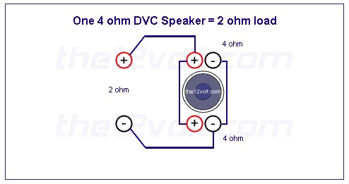 Kicker Dvc Wiring Diagram Dual Dvc Wiring In Kicker L5 12 Diagram Eyelash Me Kicker Dvc Wiring Diagram Dual Dvc Wiring In Kicker L5 12 Diagram Eyelash Me