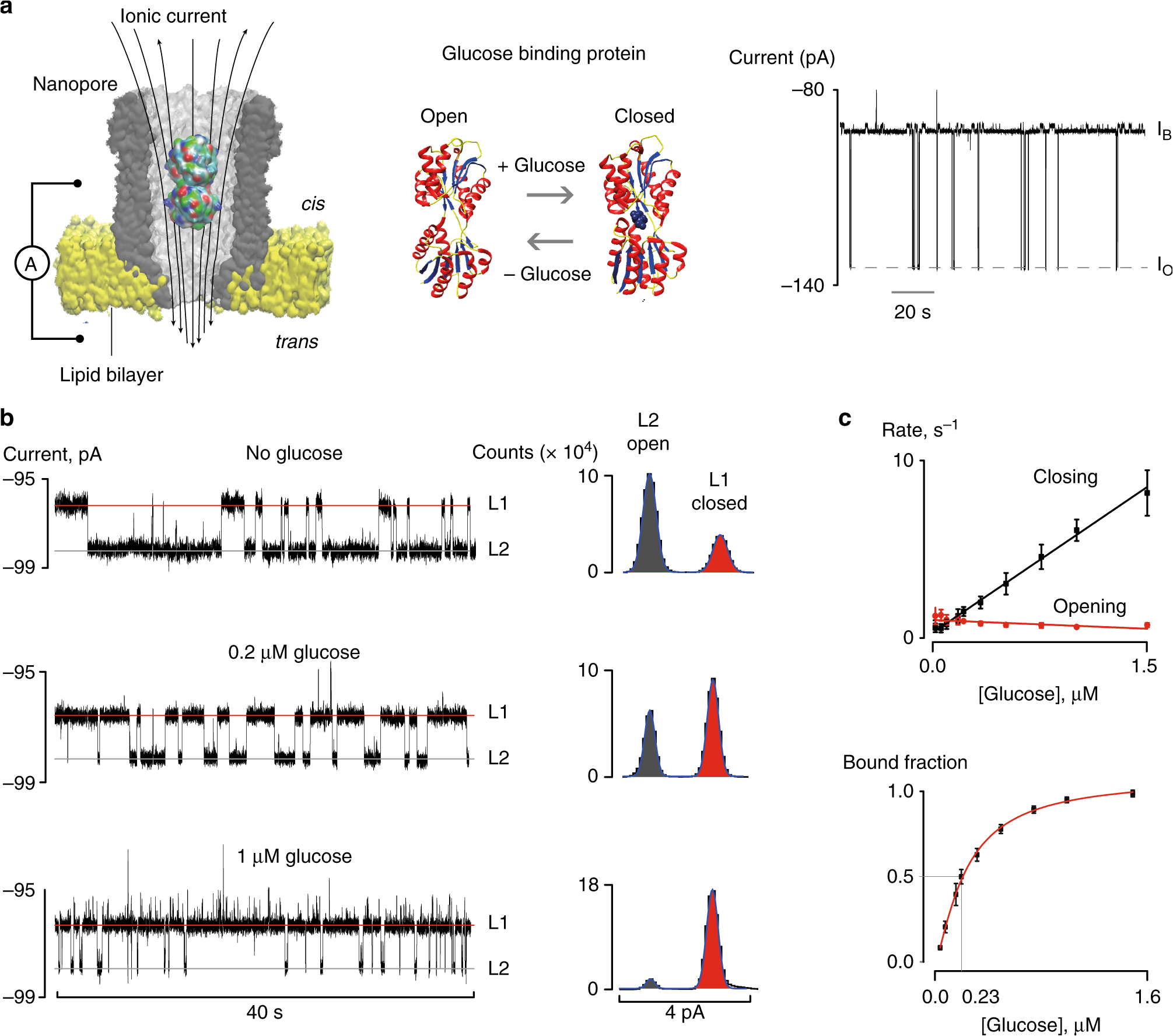 Kim Hotstart Wiring Diagrams Direct Electrical Quantification Of Glucose and asparagine From Kim Hotstart Wiring Diagrams Direct Electrical Quantification Of Glucose and asparagine From