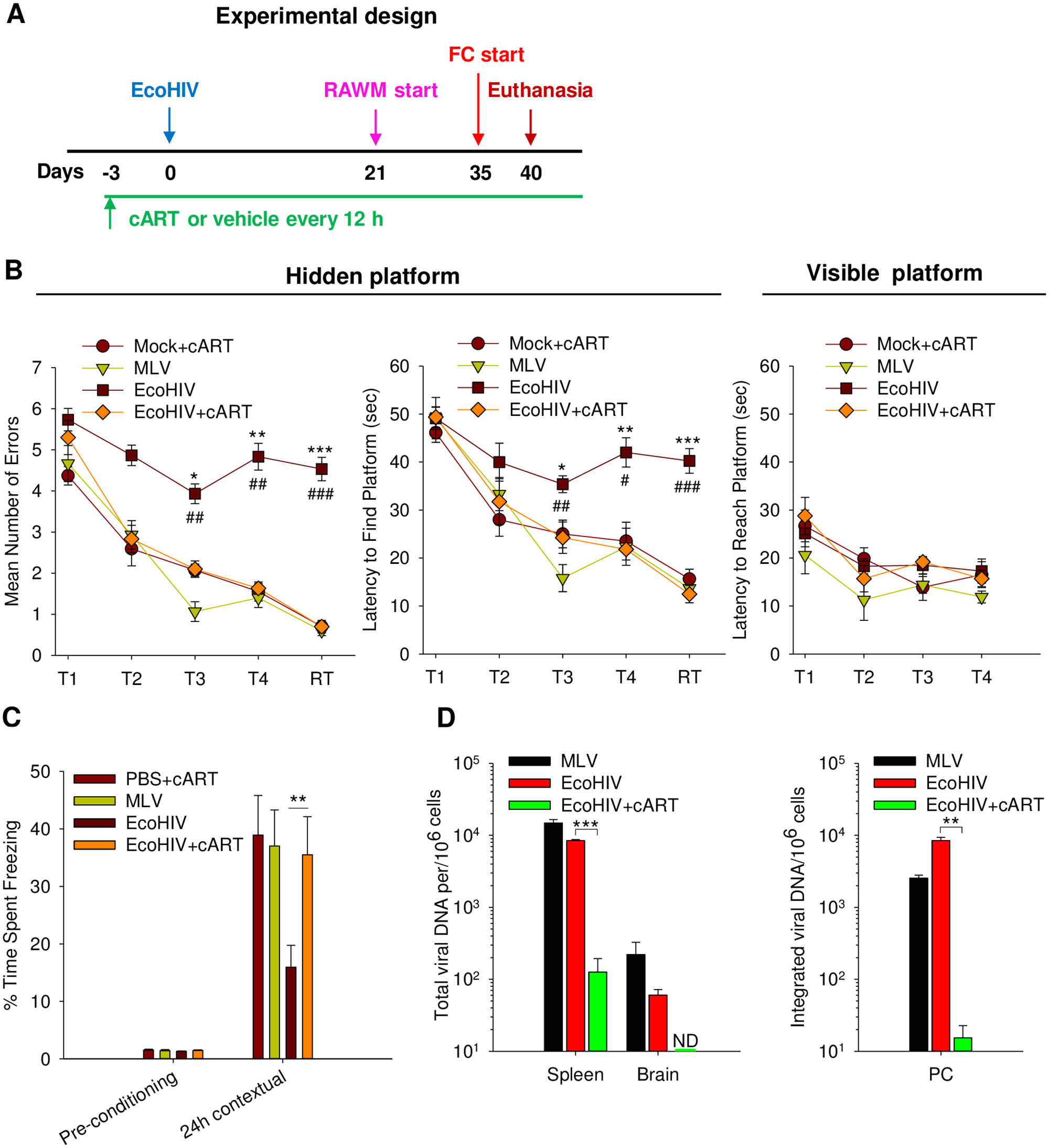 Kim Hotstart Wiring Diagrams Ecohiv Infection Of Mice Establishes Latent Viral Reservoirs In T Kim Hotstart Wiring Diagrams Ecohiv Infection Of Mice Establishes Latent Viral Reservoirs In T