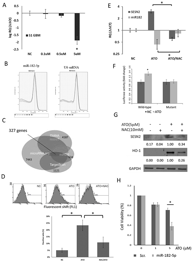 Kim Hotstart Wiring Diagrams Oncotarget Arsenic Trioxide Mediated Suppression Of Mir 182 5p is Kim Hotstart Wiring Diagrams Oncotarget Arsenic Trioxide Mediated Suppression Of Mir 182 5p is