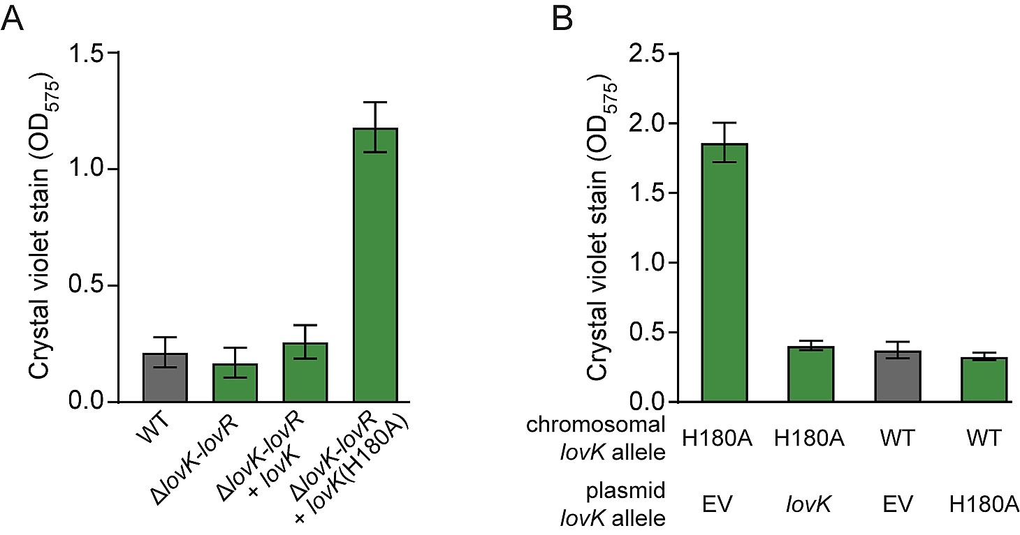 Kim Hotstart Wiring Diagrams Regulation Of Bacterial Surface attachment by A Network Of Sensory Kim Hotstart Wiring Diagrams Regulation Of Bacterial Surface attachment by A Network Of Sensory