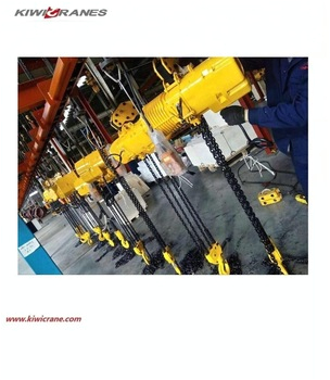 Kito Electric Chain Hoist Wiring Diagram Best Price Kito Type Manual Chain Hoist Vital Chain Pulley Block Kito Electric Chain Hoist Wiring Diagram Best Price Kito Type Manual Chain Hoist Vital Chain Pulley Block